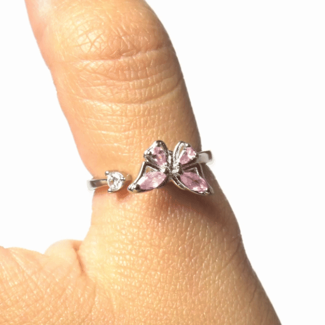 Anillo Giratorio Mariposa Plateado y Rosa - Agosto 18