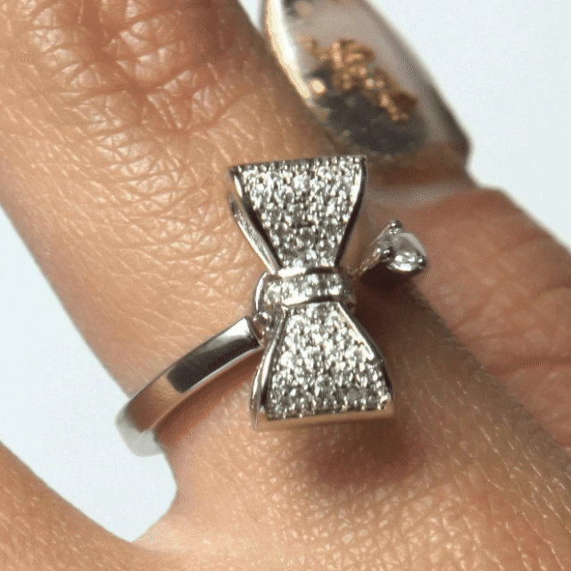 Anillo Giratorio Lazo - Agosto 18