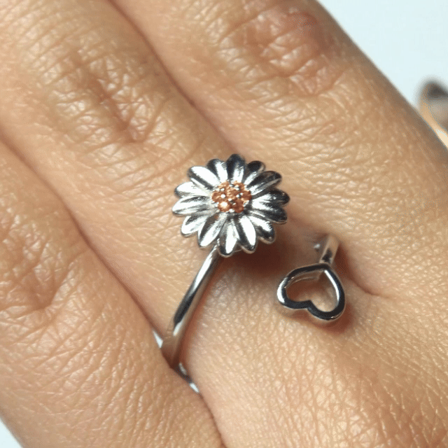 Anillo Nolien - Agosto 18