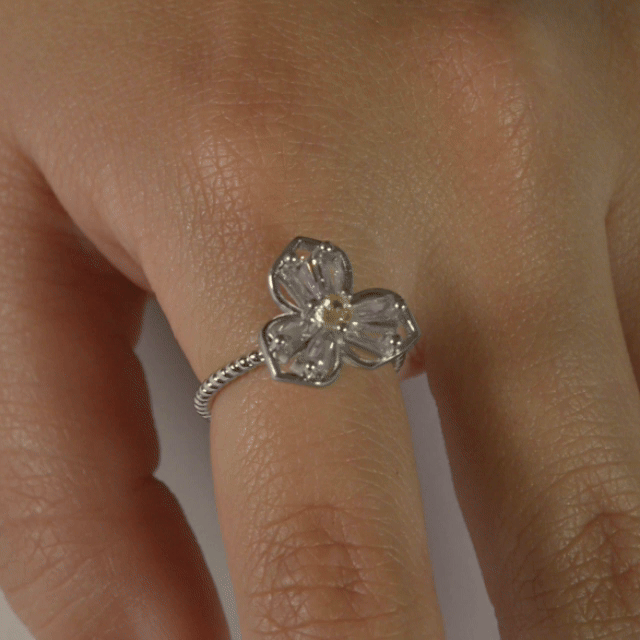 Anillo Anti-Estrés Julio Arcaeia