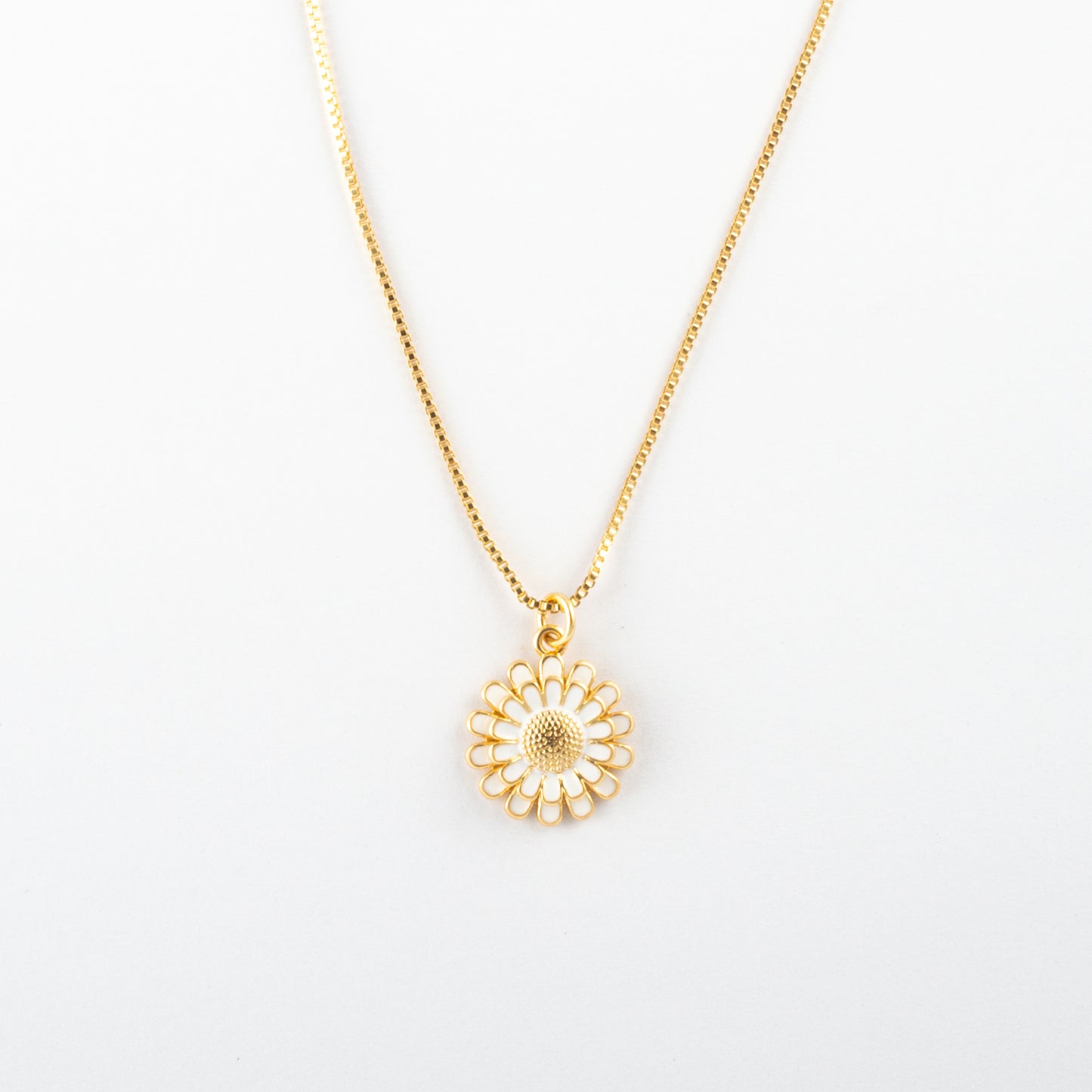 Collar Junio Rylaris - Agosto 18