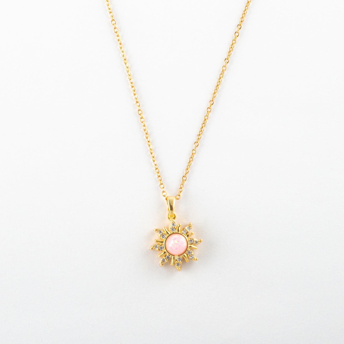 Collar Junio Narisse - Agosto 18