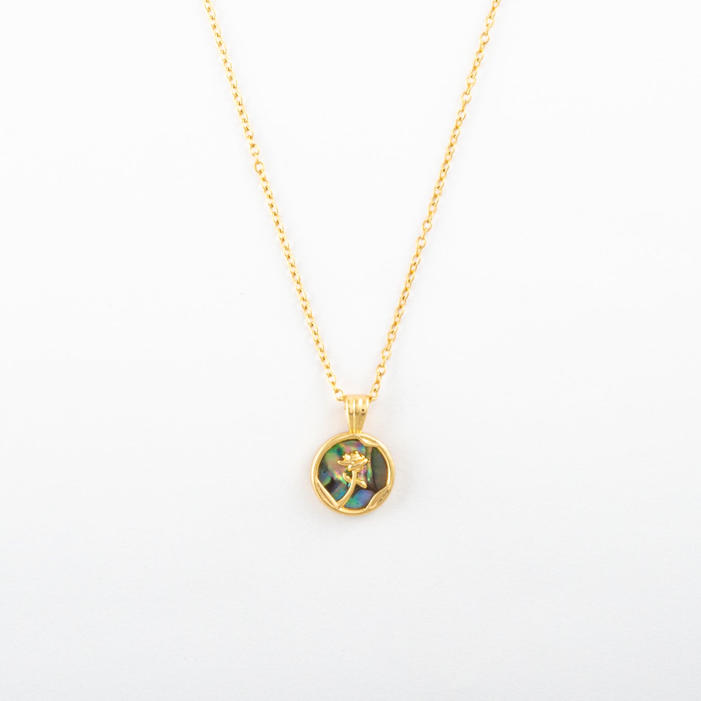 Collar Junio Odarelle - Agosto 18