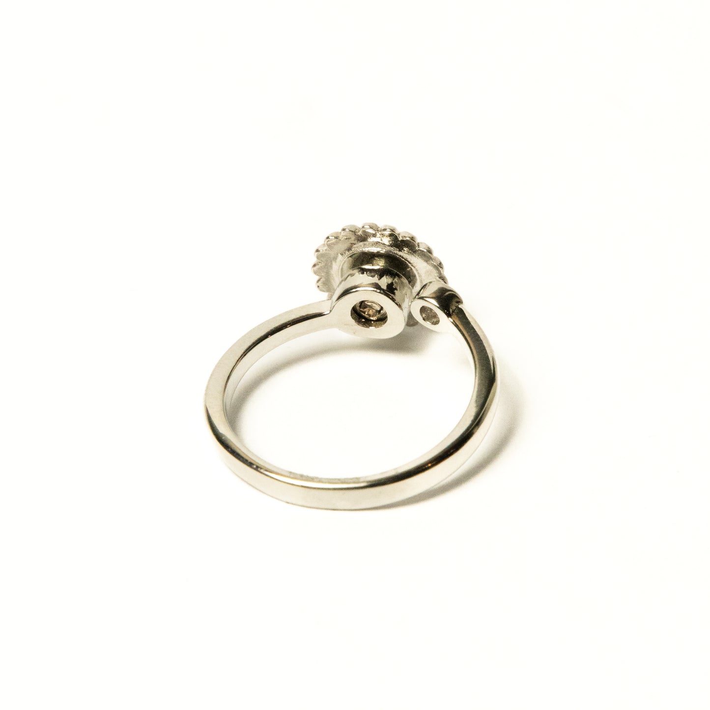 Anillo Giratorio Margarita - Agosto 18