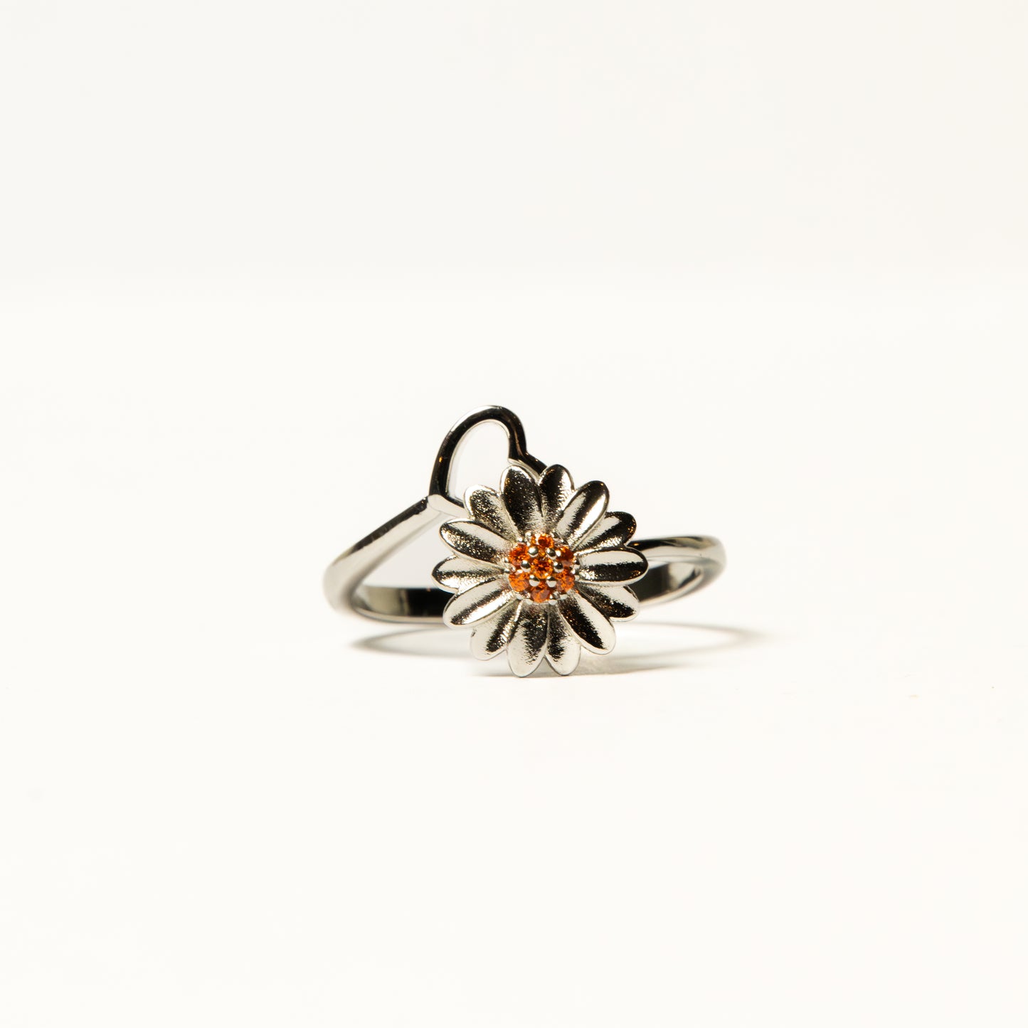 Anillo Nolien - Agosto 18