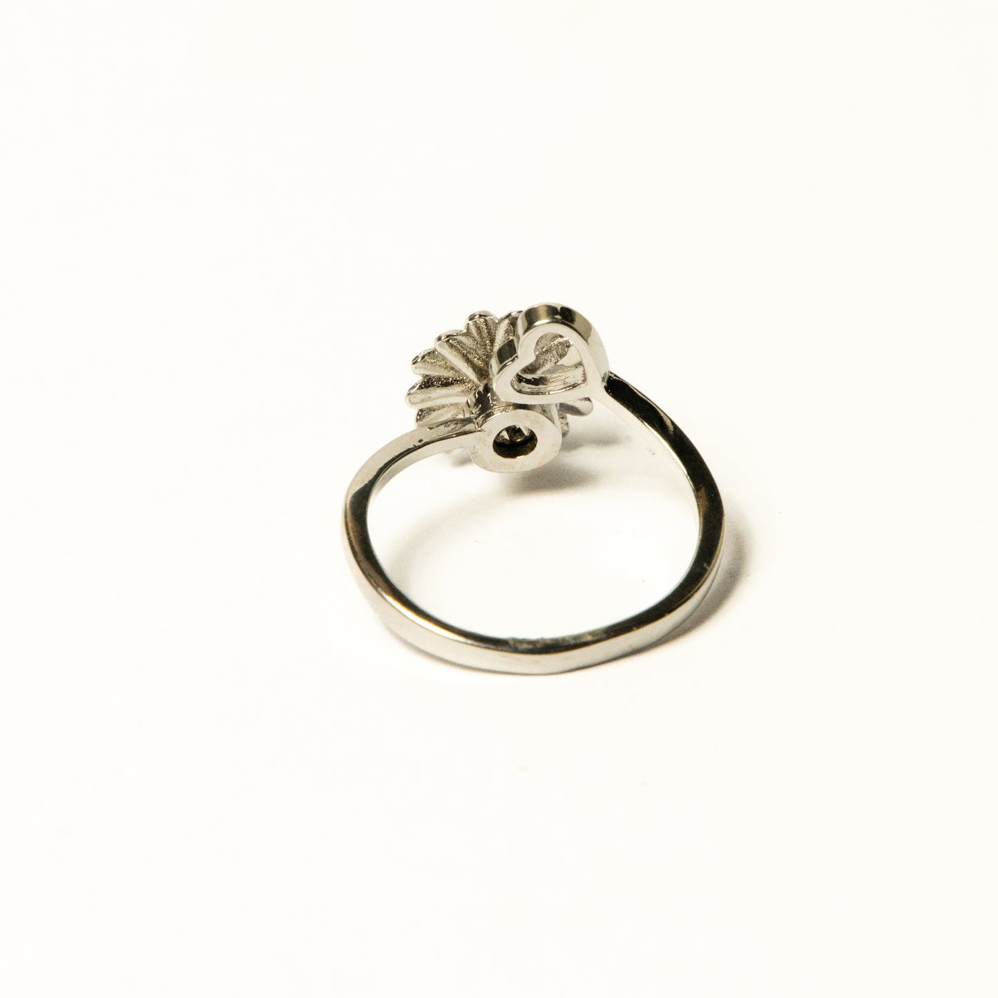 Anillo Nolien - Agosto 18