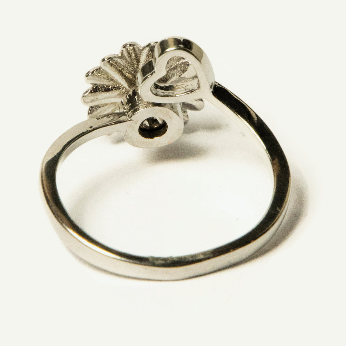 Anillo Nolien - Agosto 18