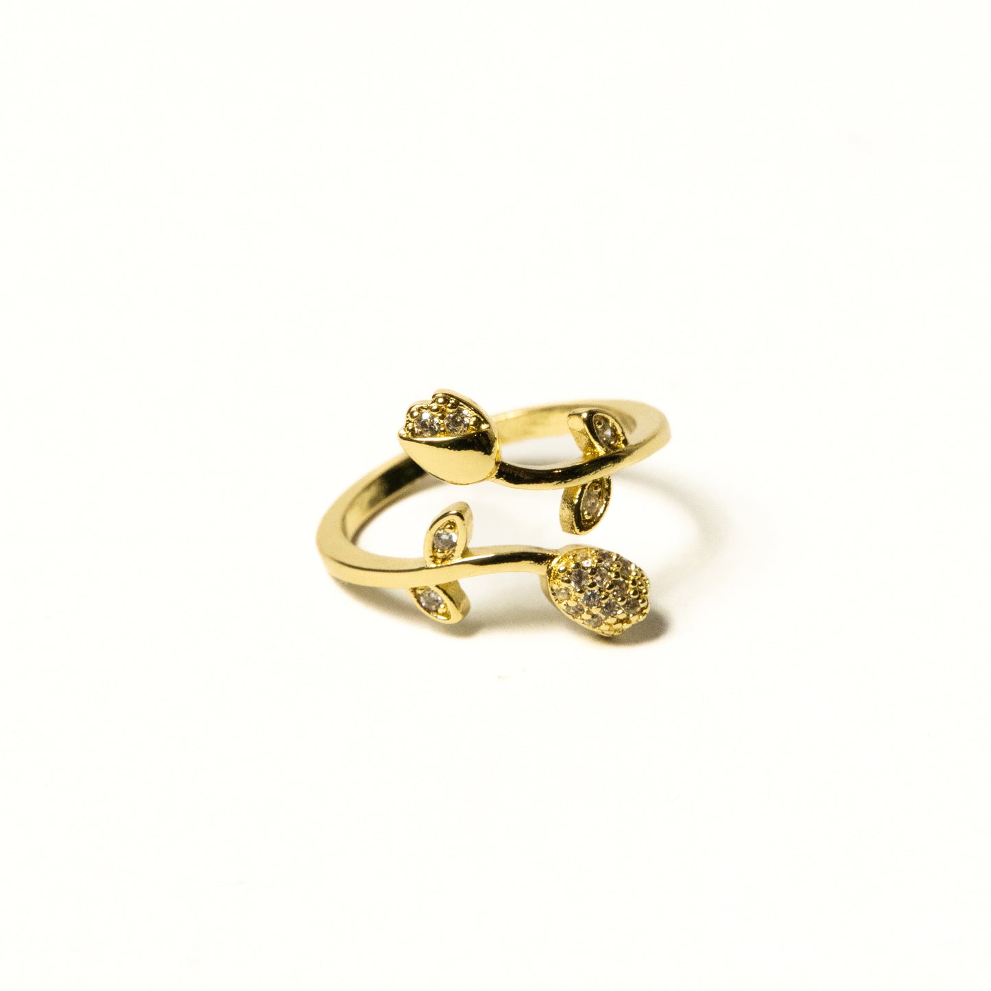 Anillo Rosas - Agosto 18