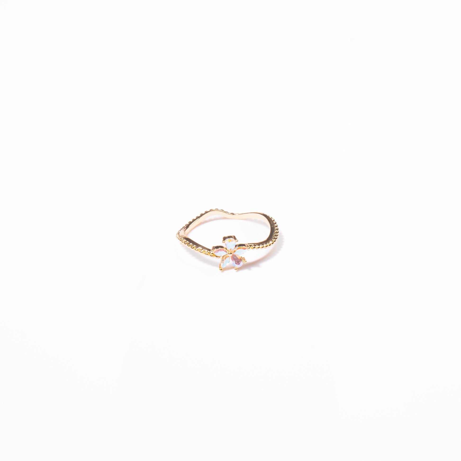 Anillo Indescifrable - Agosto 18