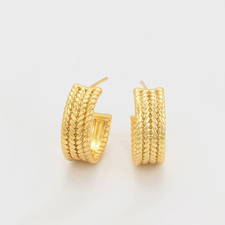 Aretes Vanya