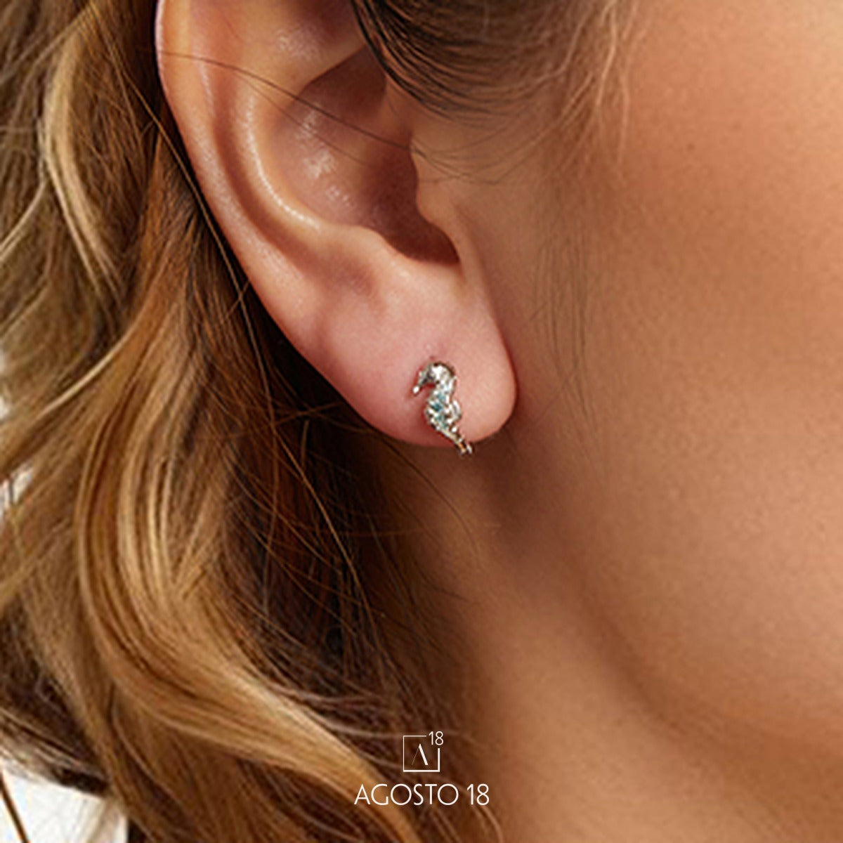 Aretes Argolla Plata S925 Caballito de Mar – así se ve puesto