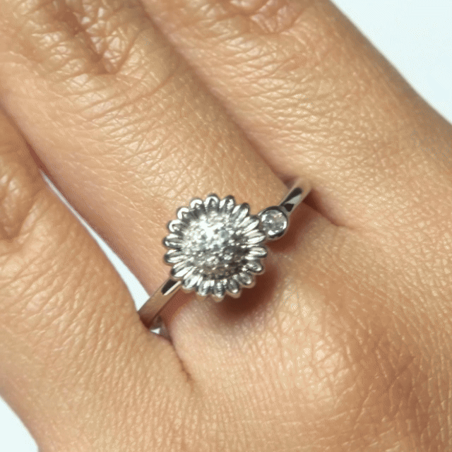 Anillo Giratorio Margarita - Agosto 18