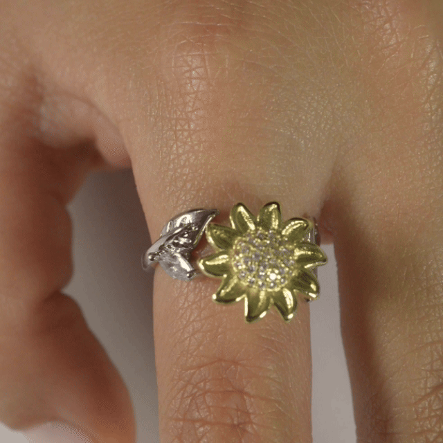 Anillo Anti-Estrés Julio Ecoella