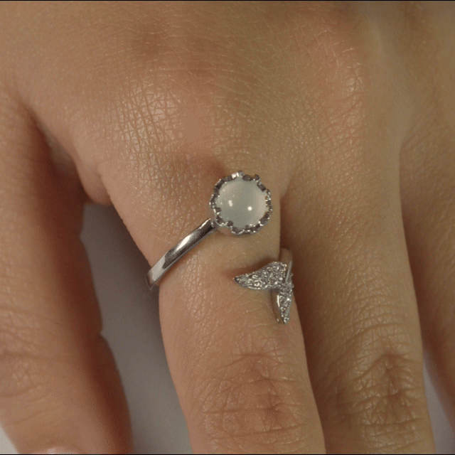 Anillo Anti-Estrés Julio Brisaira