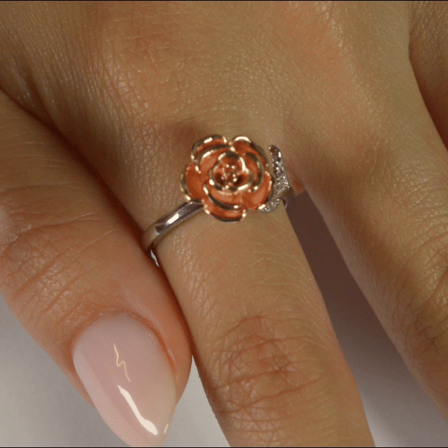Anillo Anti-Estrés Julio Calaina