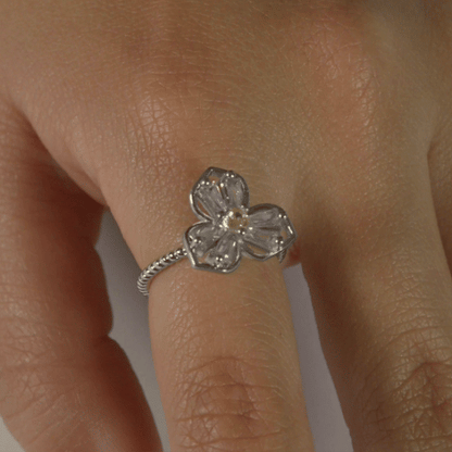 Anillo Anti-Estrés Julio Arcaeia