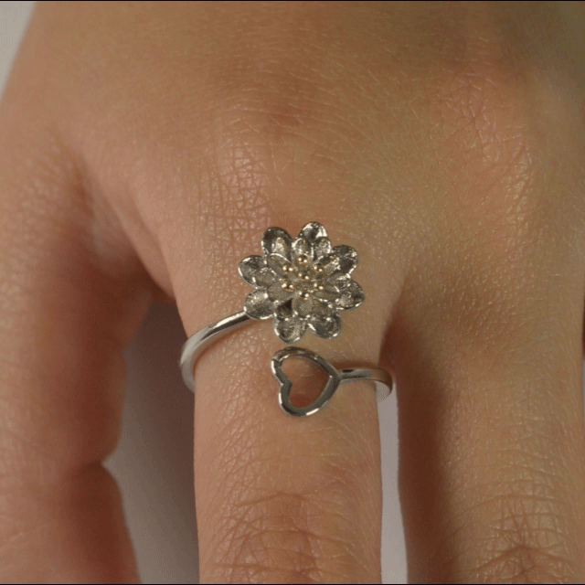 Anillo Anti-Estrés Julio Elvaella