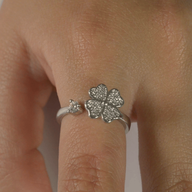 Anillo Anti-Estrés Julio Trébol Plateado