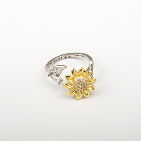 Anillo Anti-Estrés Julio Ecoella