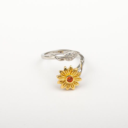 Anillo Anti-Estrés Julio Solaesa
