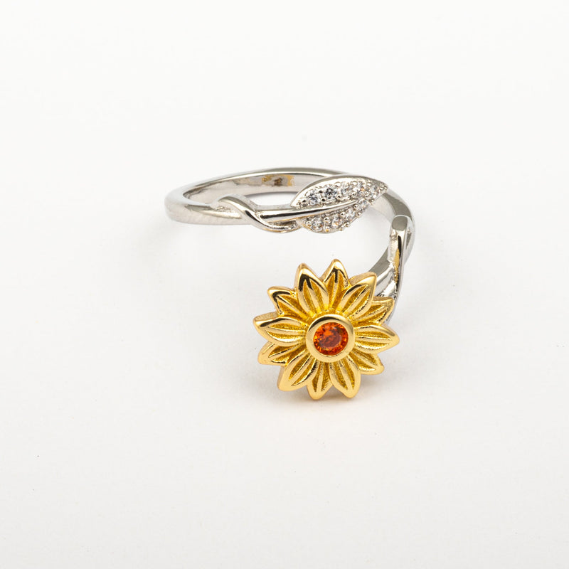 Anillo Anti-Estrés Julio Solaesa