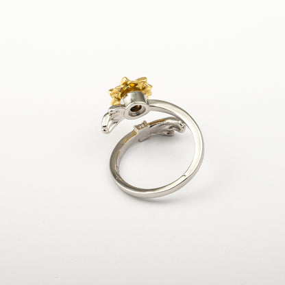 Anillo Anti-Estrés Julio Dunauna