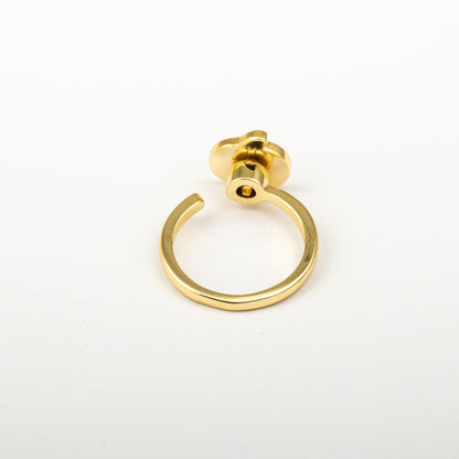 Anillo Anti-Estrés Julio Calabaza Dorardo