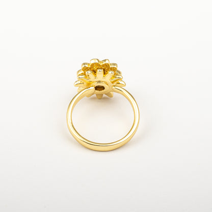 Anillo Anti-Estrés Julio Laraena