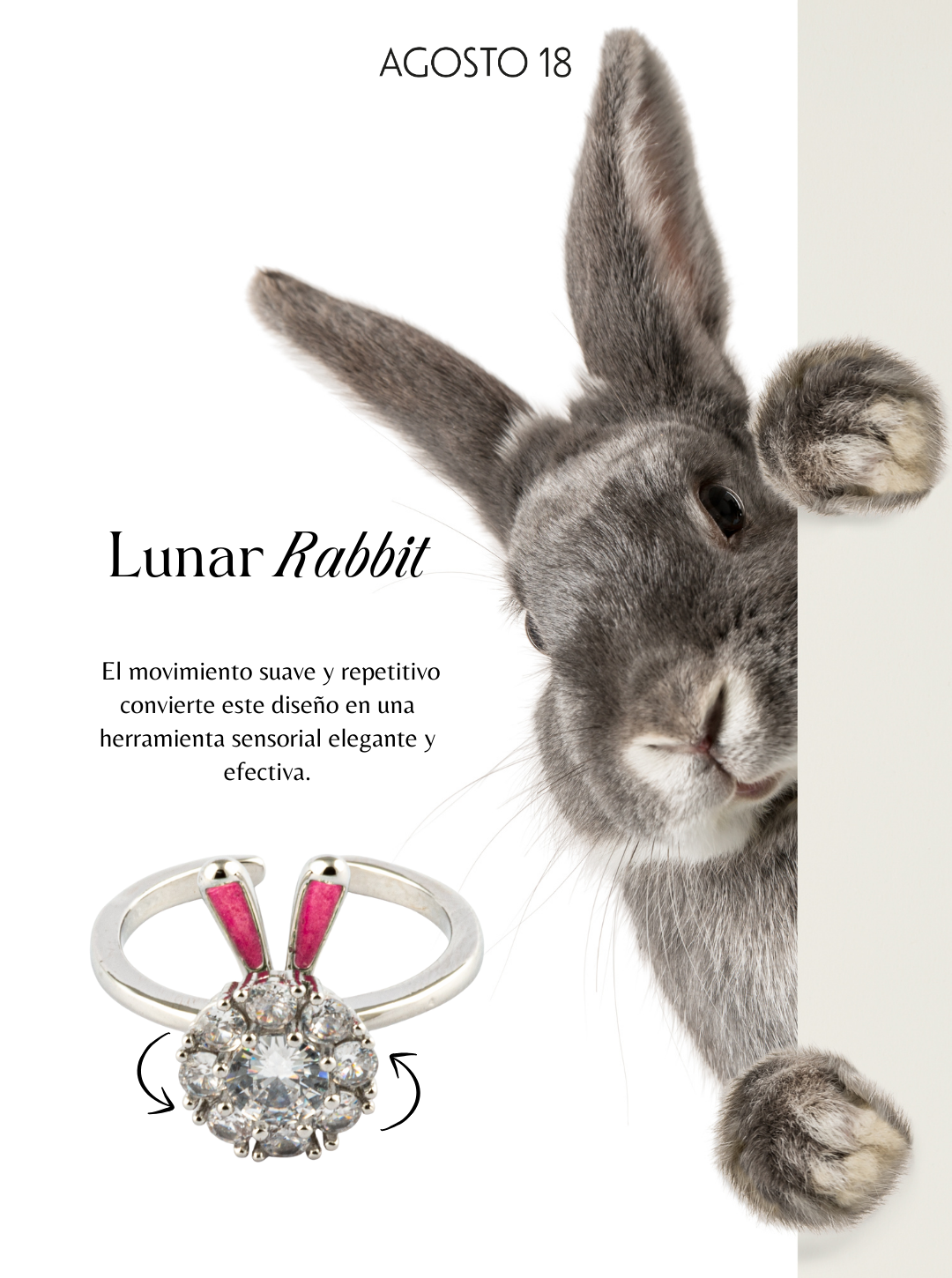 Anillo Anti-Estrés Conejo Plateado Lunar Rabbit