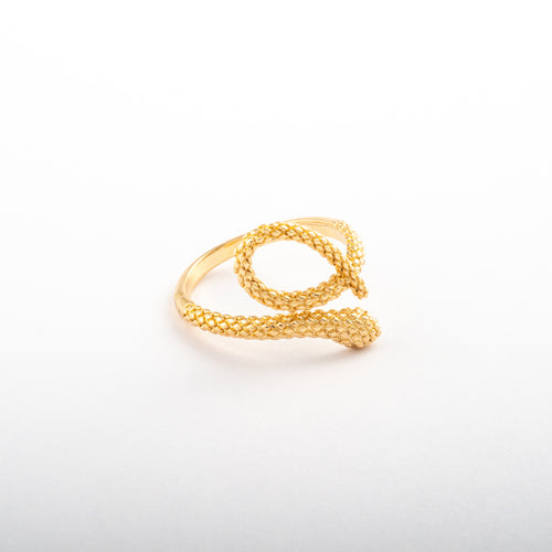 Anillo Junio Lytheris - Agosto 18