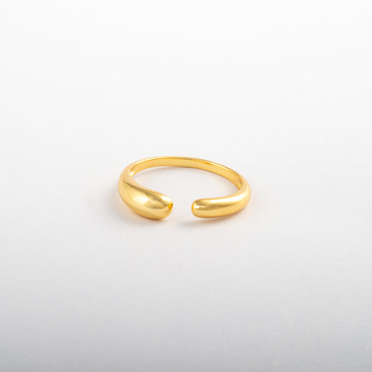 Anillo Junio Kelthira - Agosto 18