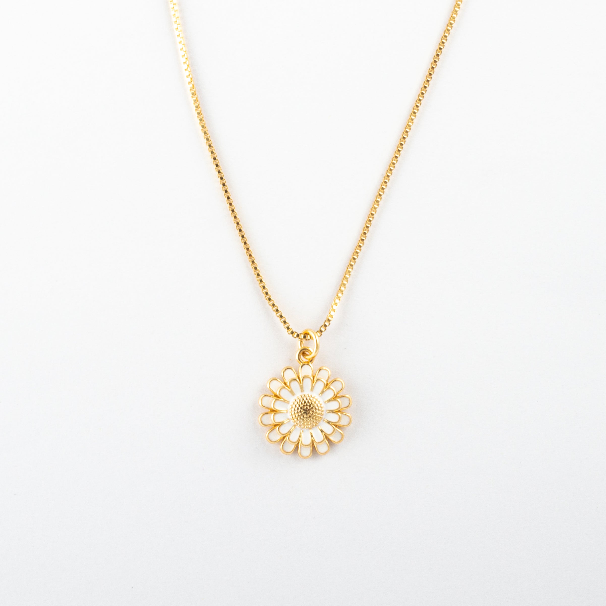 Collar Junio Rylaris - Agosto 18