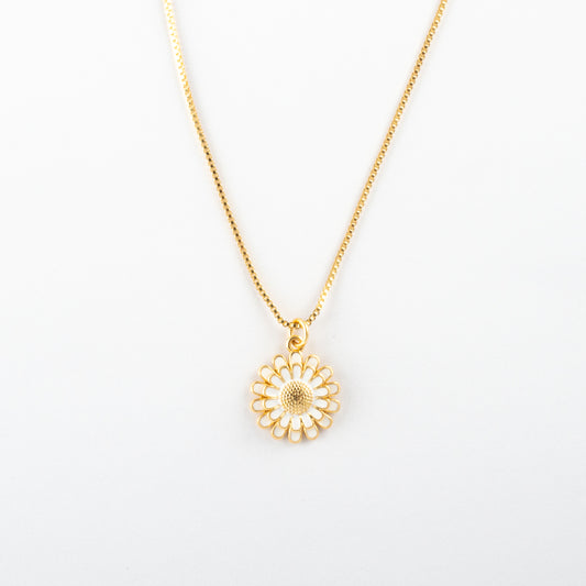 Collar Junio Rylaris - Agosto 18