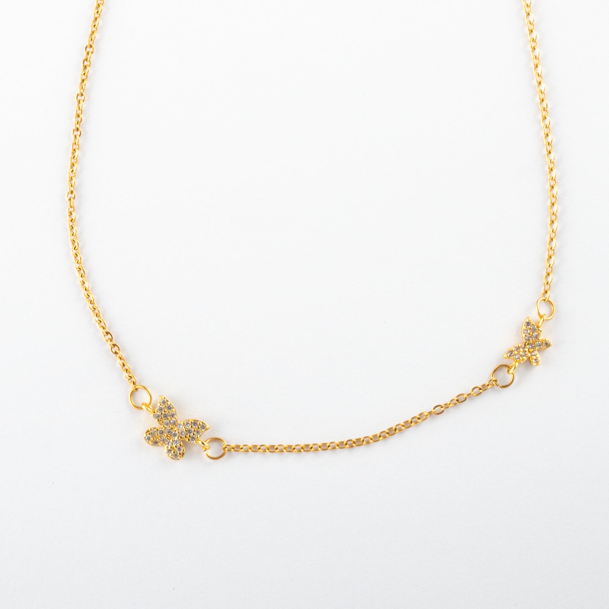 Collar Junio Palaene - Agosto 18