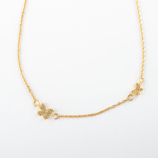 Collar Junio Palaene - Agosto 18