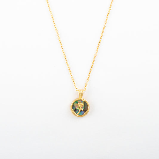 Collar Junio Odarelle - Agosto 18