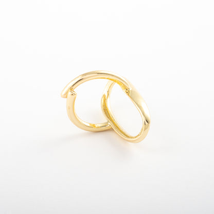 Anillo Junio Lurelia - Agosto 18