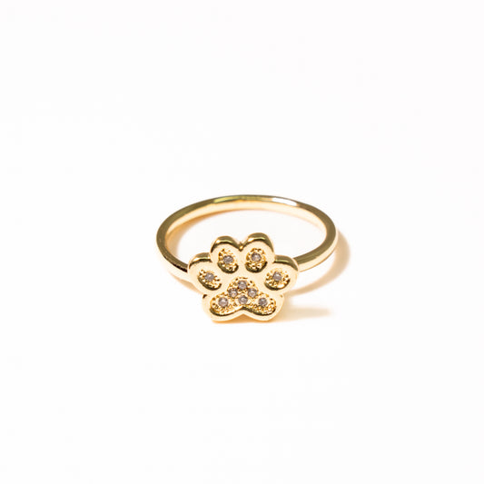 Anillo Anti Estrés Huella