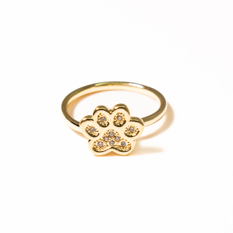 Anillo Anti Estrés Huella - Agosto 18