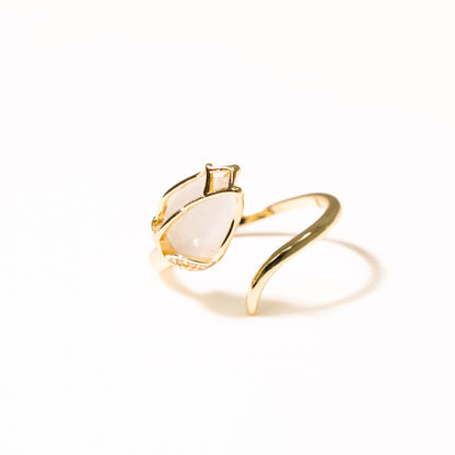 Anillo Celeste