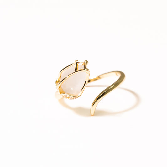 Anillo Celeste