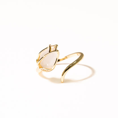 Anillo Celeste