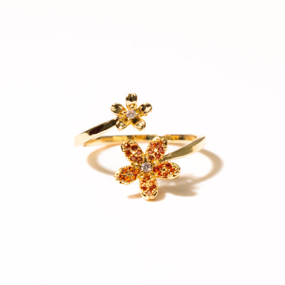 Anillo Soleado