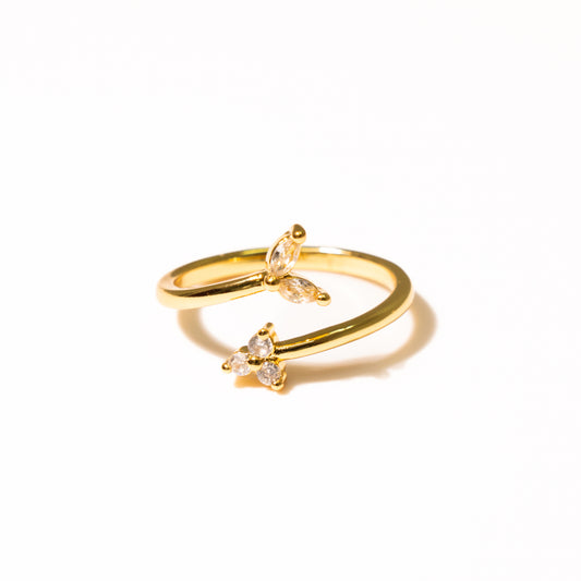Anillo Calmo