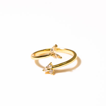 Anillo Calmo