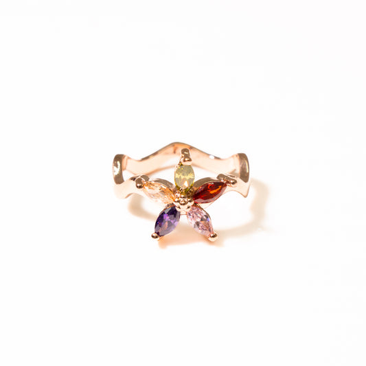 Anillo Evoluzione