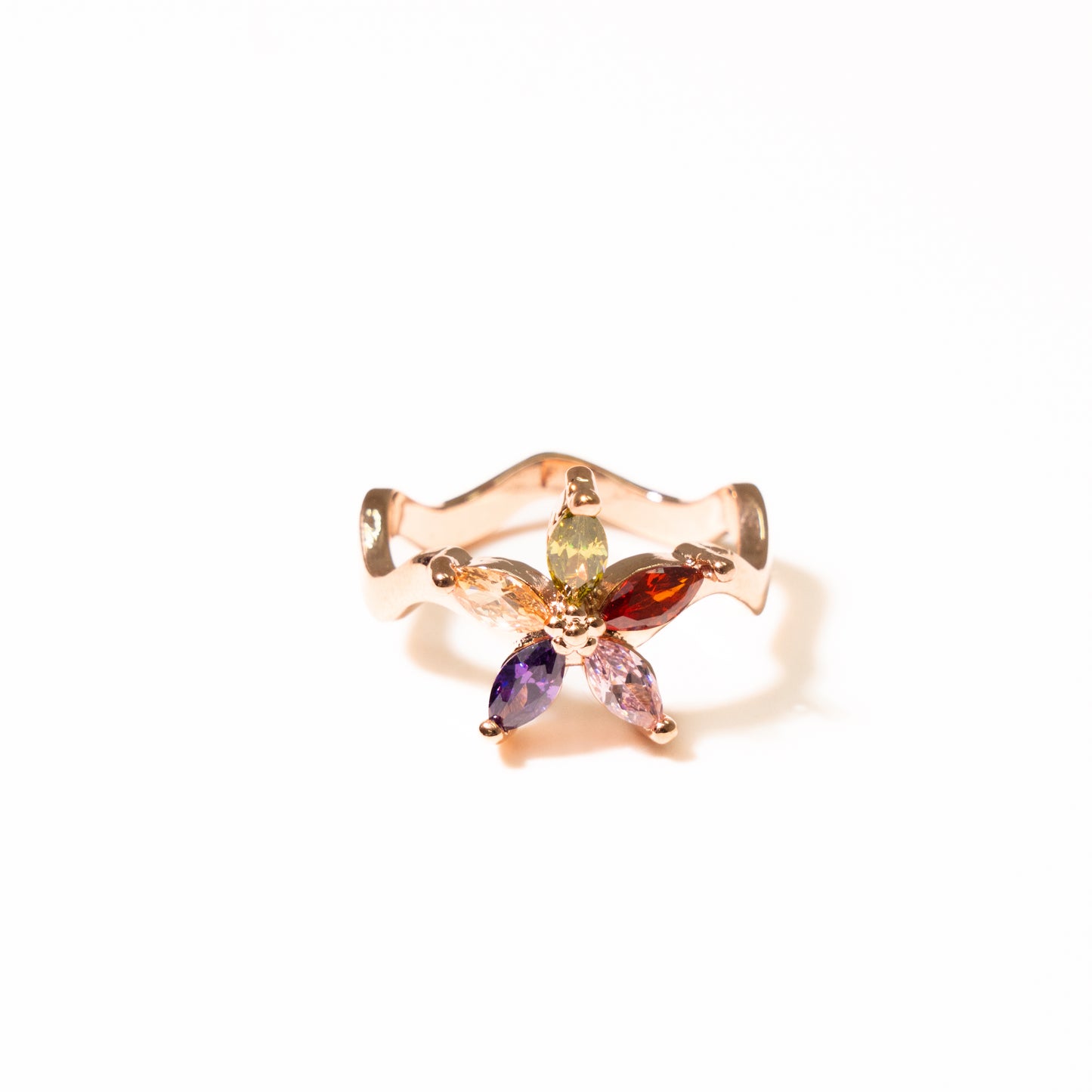 Anillo Evoluzione