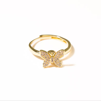 Anillo Anti Estrés Mariposa - Agosto 18