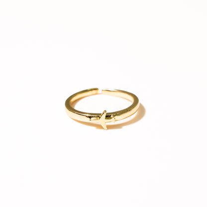 Anillo Ribeiro