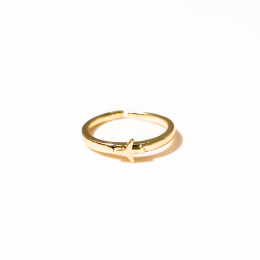 Anillo Ribeiro